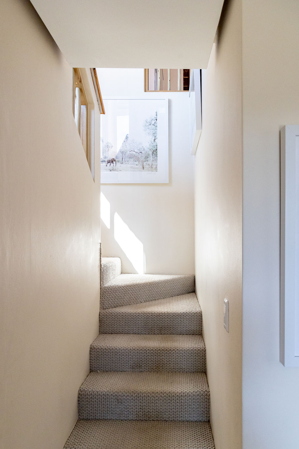 Kingfisher close (25)