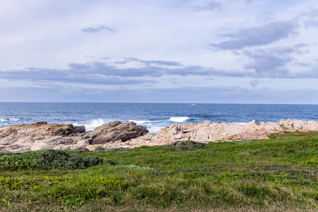 25 Queen of the west – Whale Views (28)