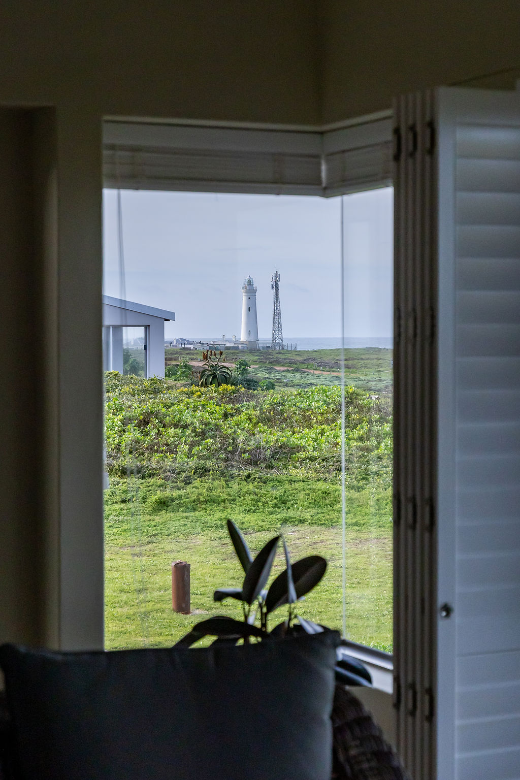 25 Queen of the west – Whale Views (37)