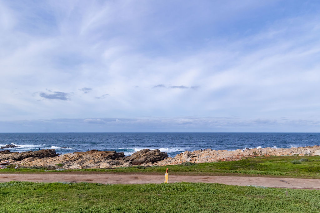 25 Queen of the west – Whale Views (39)